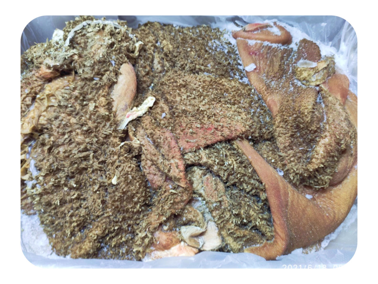 Beef tripe