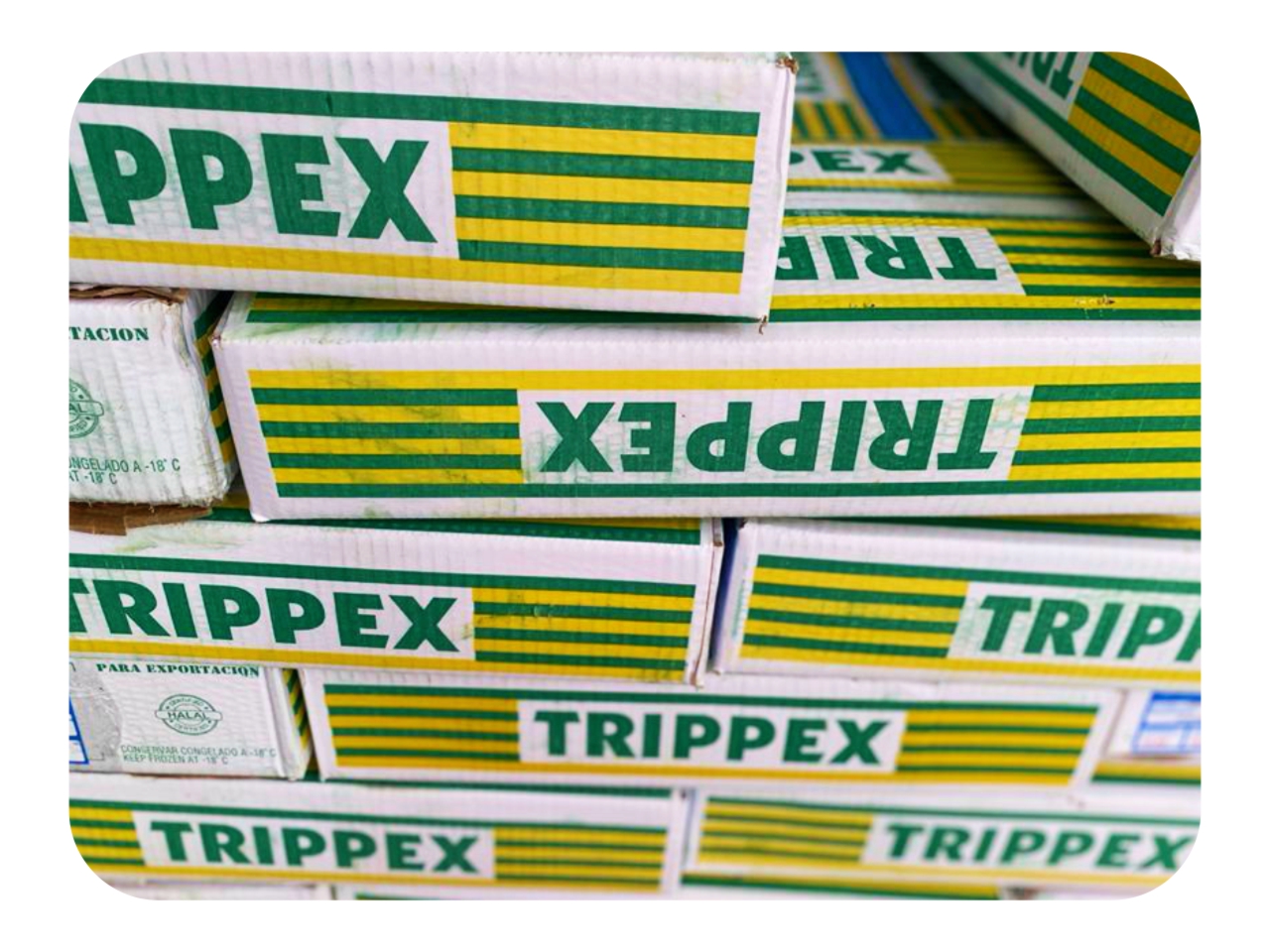 Beef Tripe