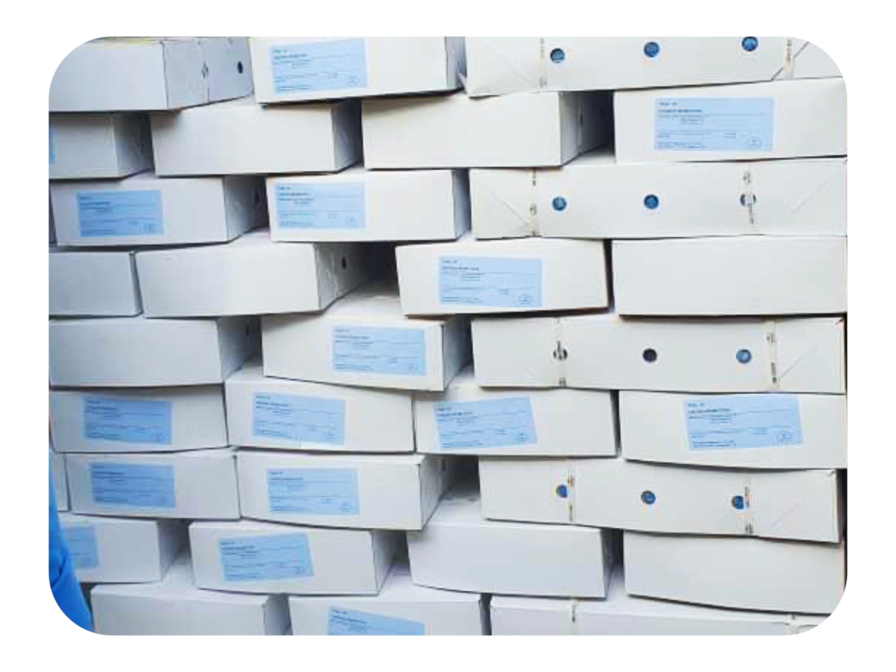Chicken Bak in Box 0012
