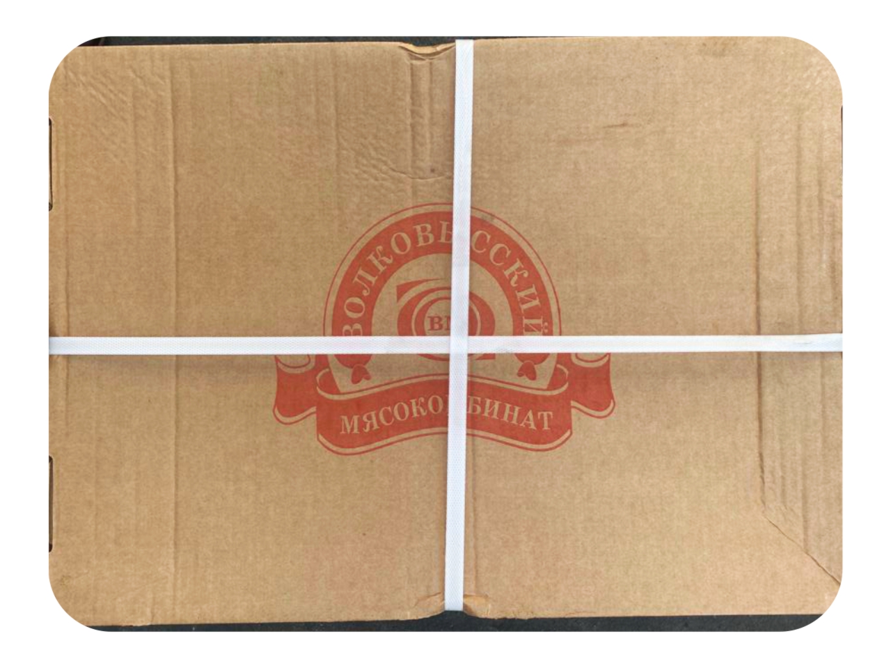Gizzard Box