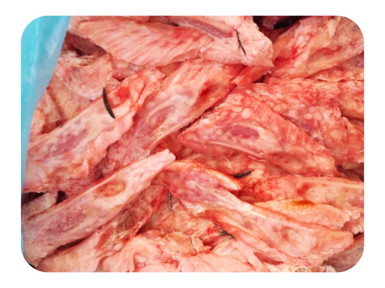 Turkey tips