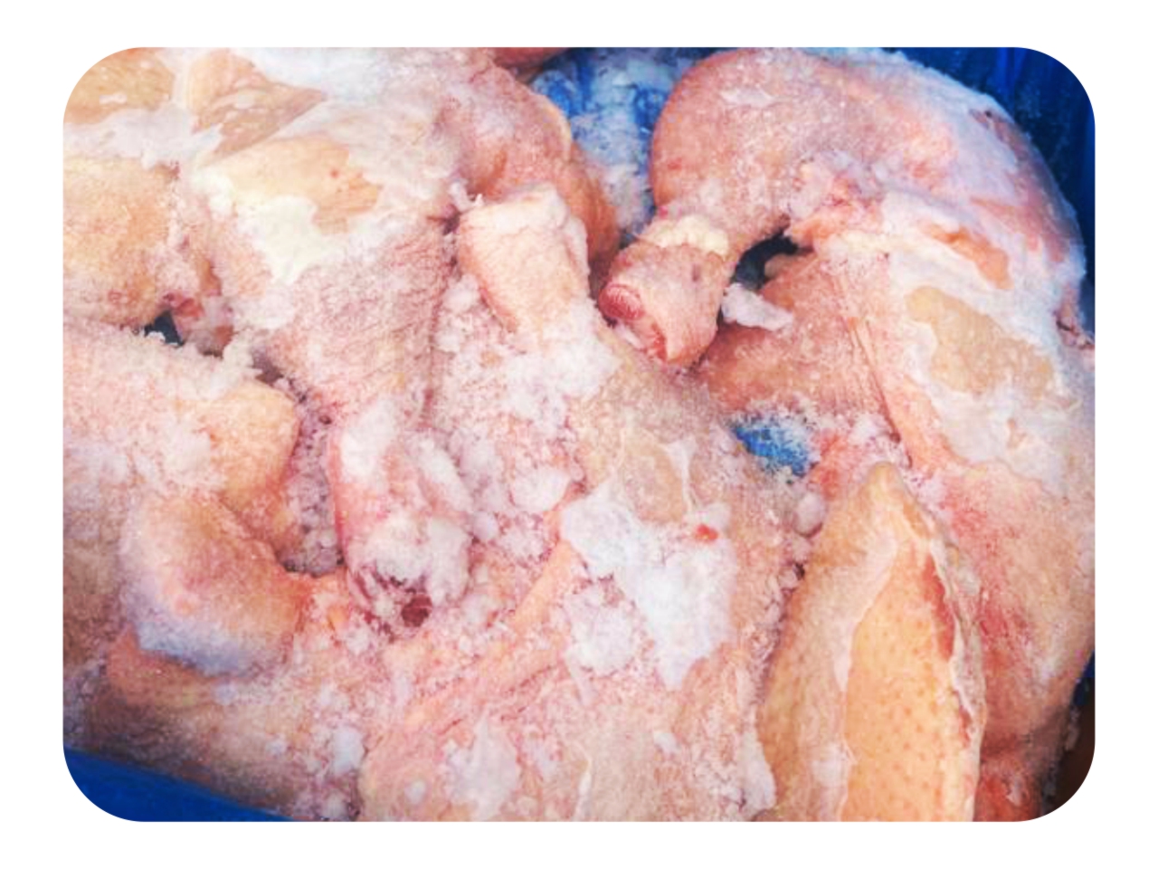 US broiler thigh